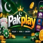 PAKPLAY Game